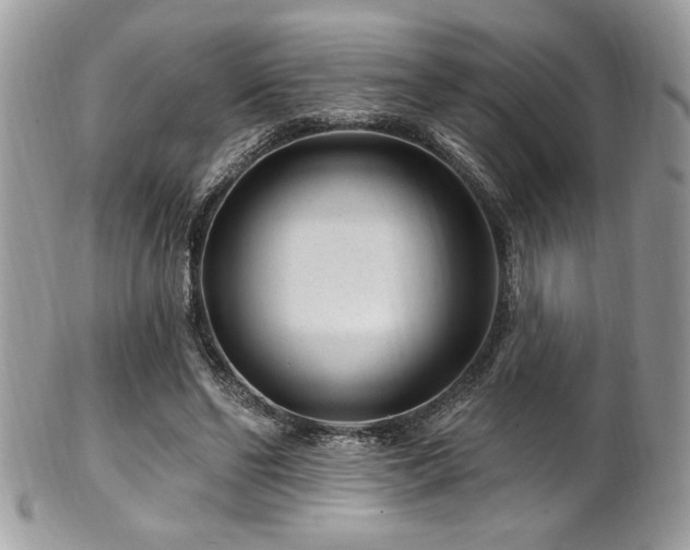 X0000102310494200807251443