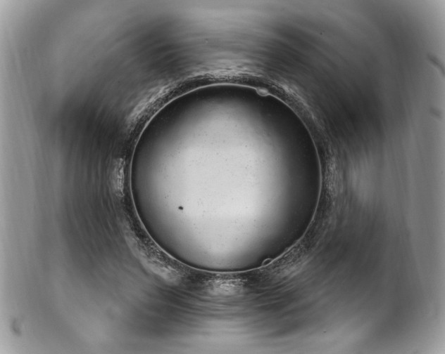 X0000102310495200807251443