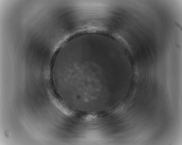 X0000102310496200807251443