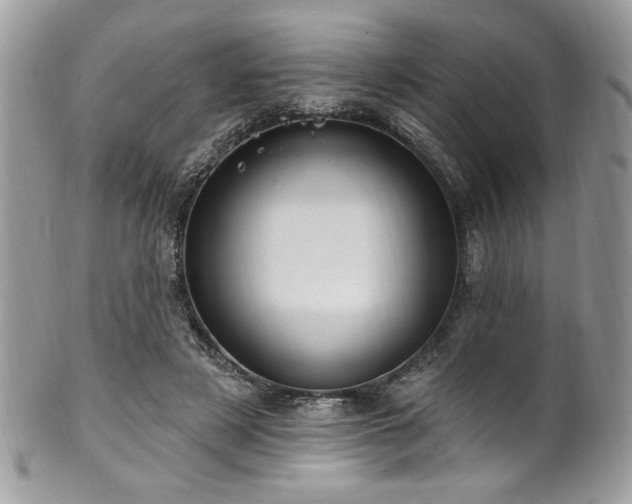 X0000102310497200807251443