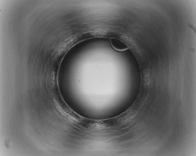 X0000102310498200807251443