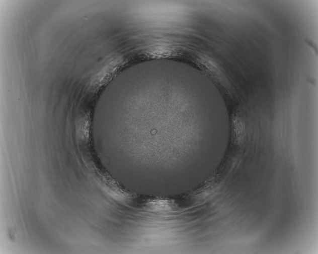 X0000102310499200807251443