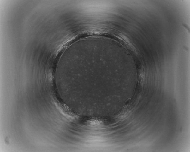 X0000102310500200807251443