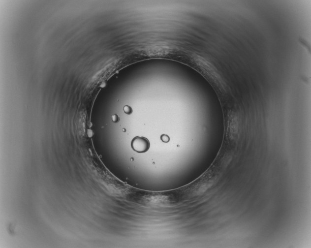 X0000102310501200807251443