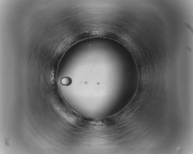 X0000102310502200807251443