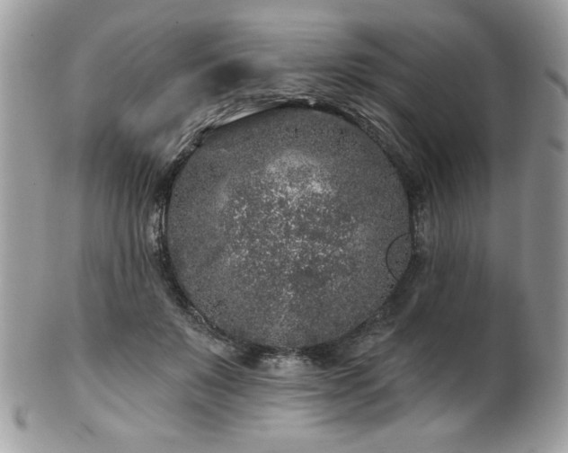 X0000102310503200807251443