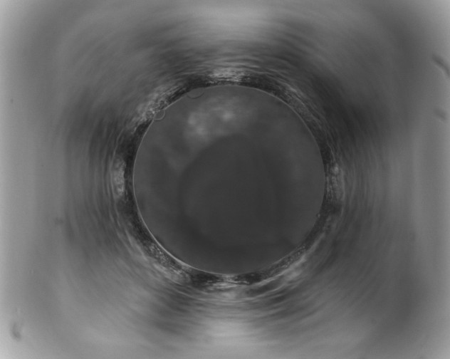 X0000102310504200807251443