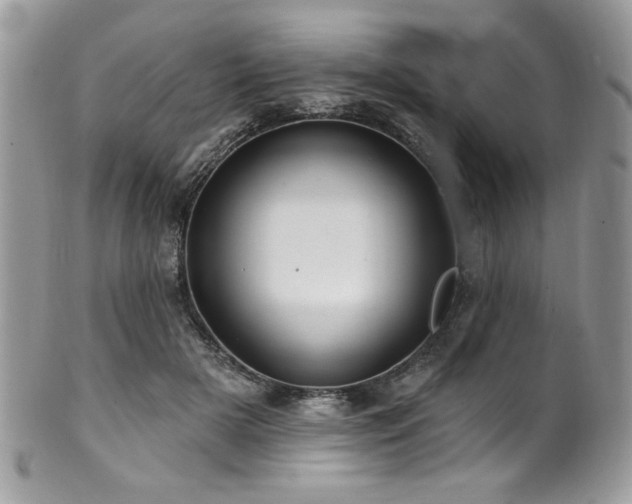 X0000102310505200807251443