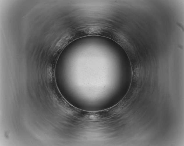 X0000102310506200807251443