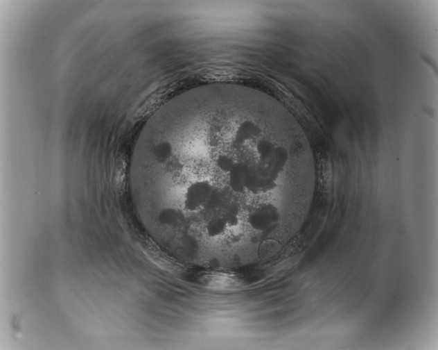 X0000102310507200807251443