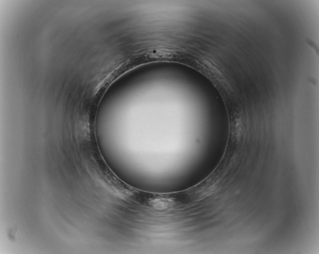 X0000102310508200807251443