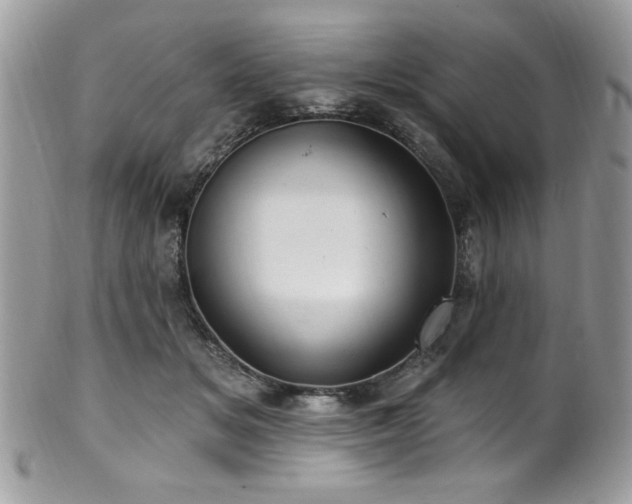 X0000102310509200807251443