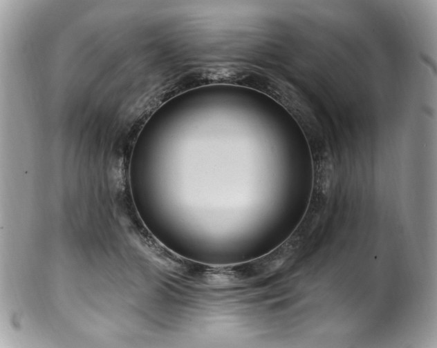 X0000102310510200807251443