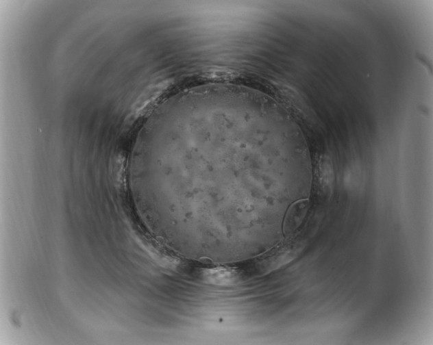 X0000102310511200807251443