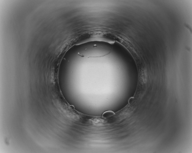 X0000102310512200807251443