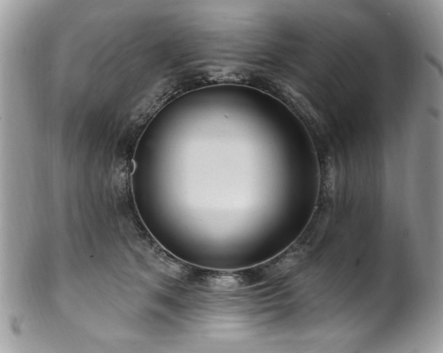 X0000102310513200807251443