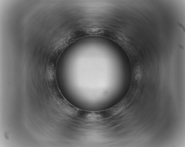 X0000102310515200807251443