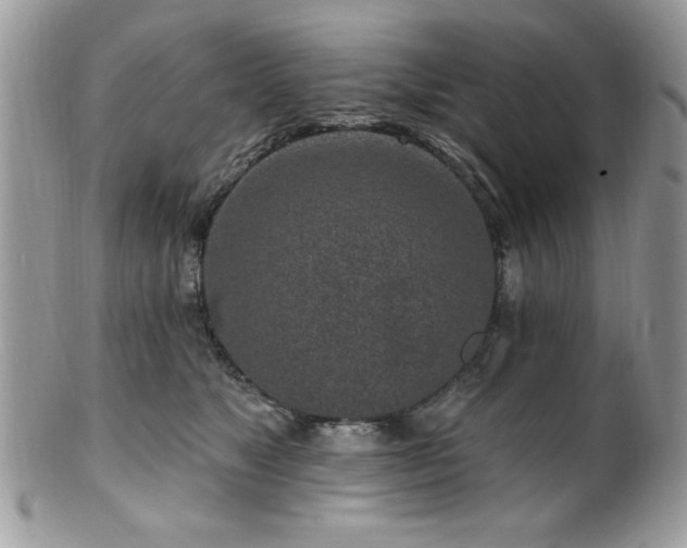 X0000102310517200807251443