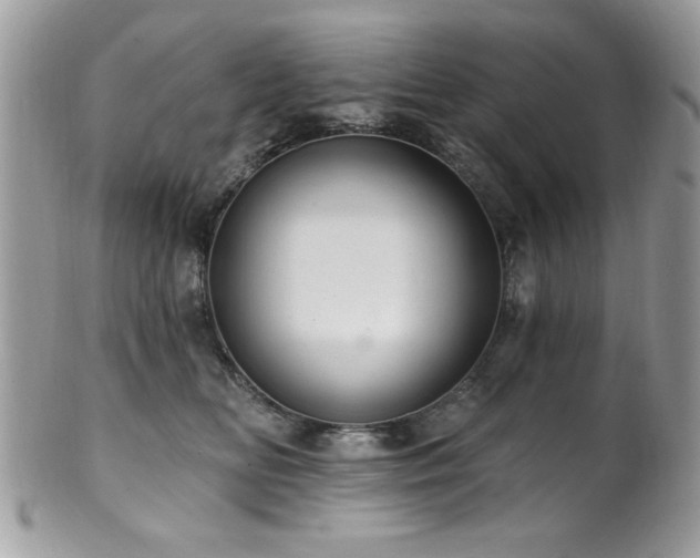 X0000102310518200807251443