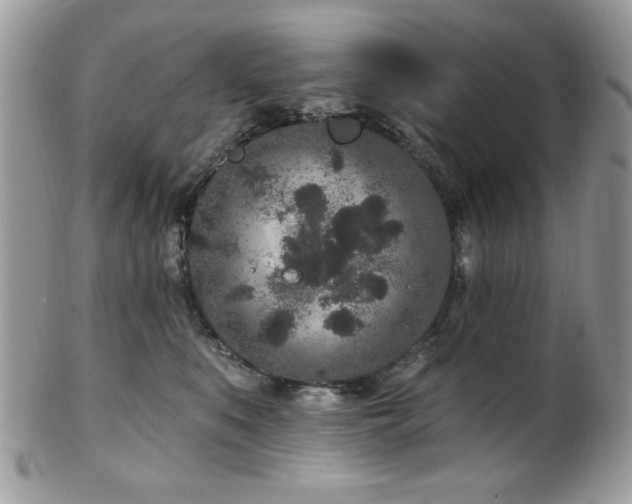 X0000102310519200807251443