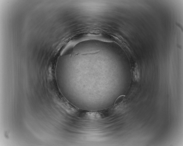 X0000102310520200807251442