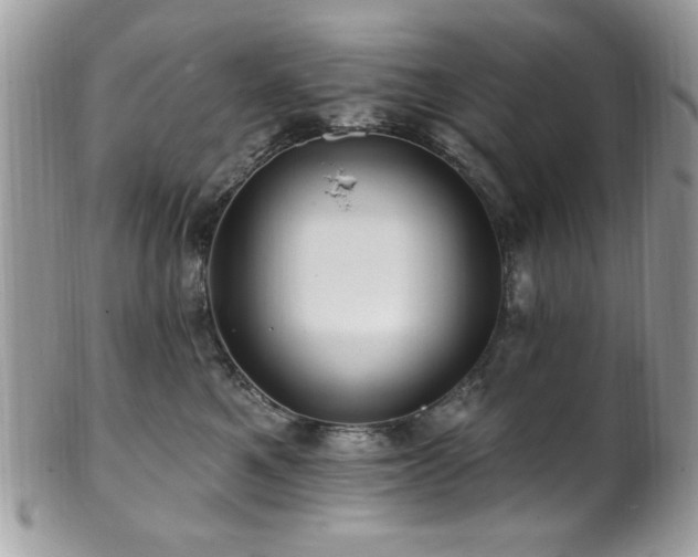 X0000102310521200807251442