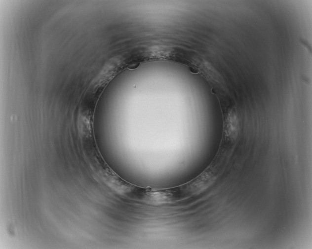 X0000102310522200807251442