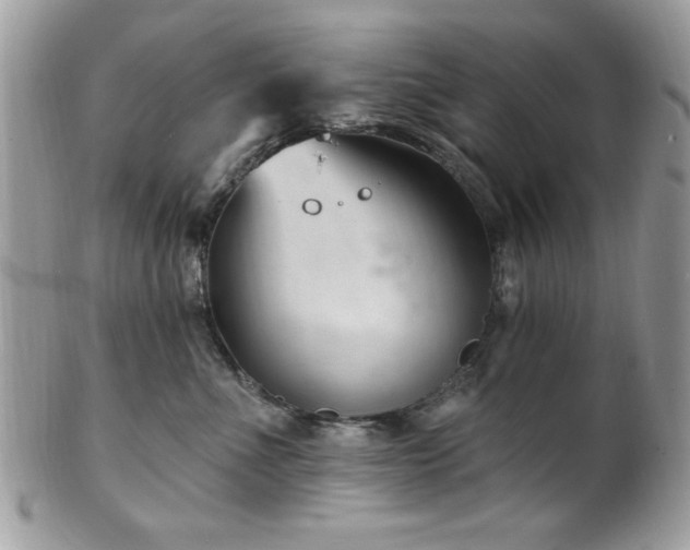 X0000102310523200807251442