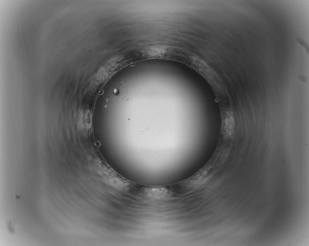 X0000102310525200807251442