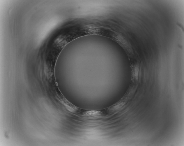 X0000102310526200807251442