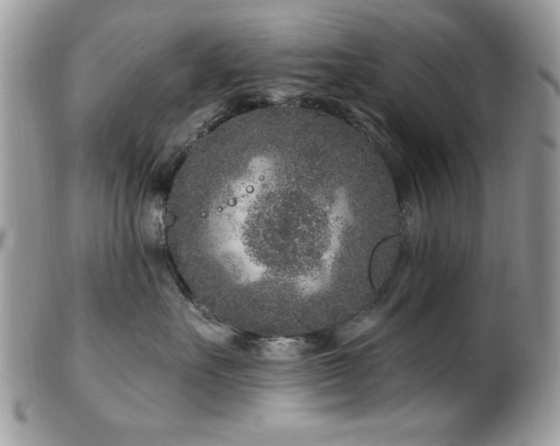 X0000102310527200807251442