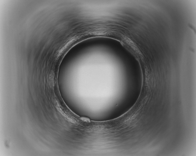 X0000102310530200807251442