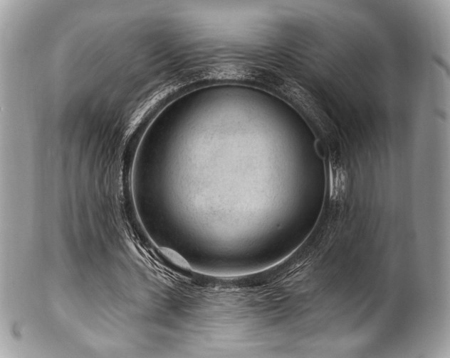 X0000102310531200807251442