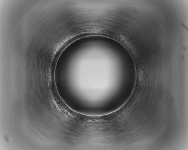 X0000102310532200807251442