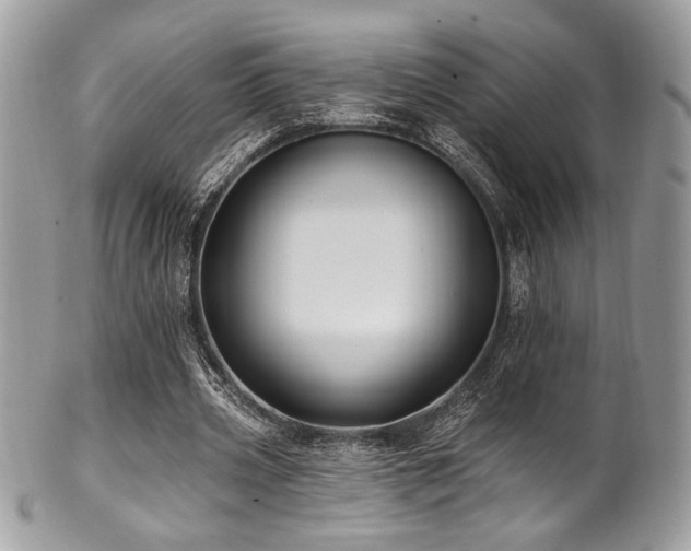 X0000102310533200807251442