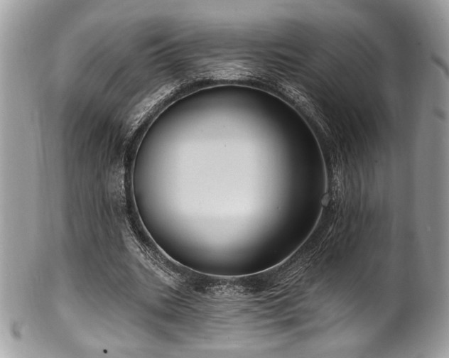 X0000102310535200807251442