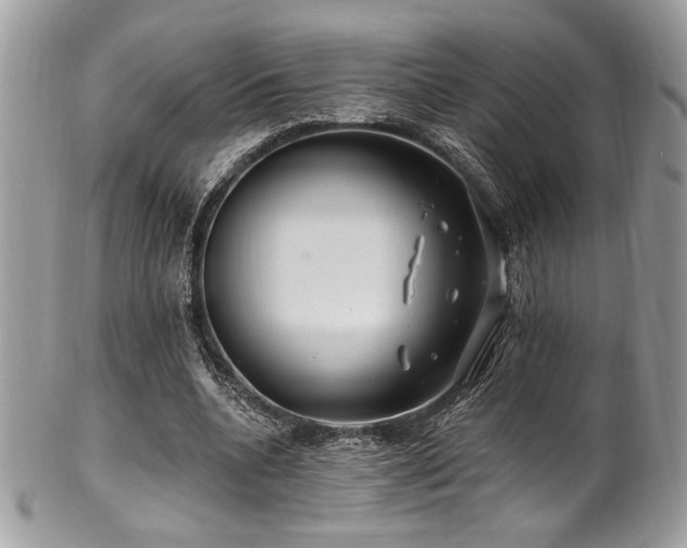 X0000102310536200807251442