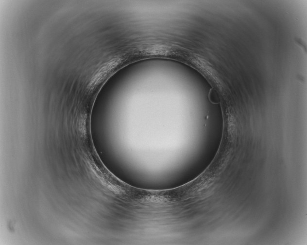 X0000102310537200807251442