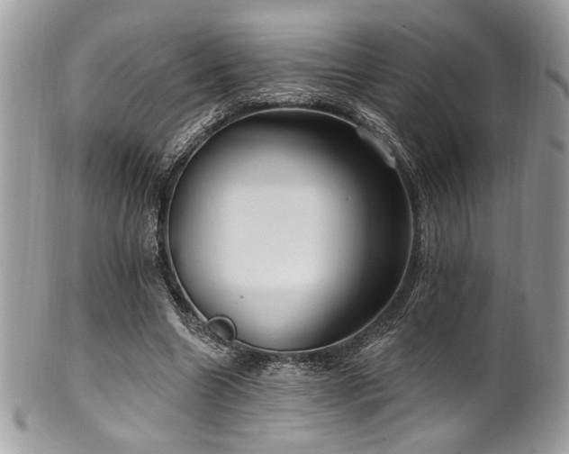 X0000102310538200807251442