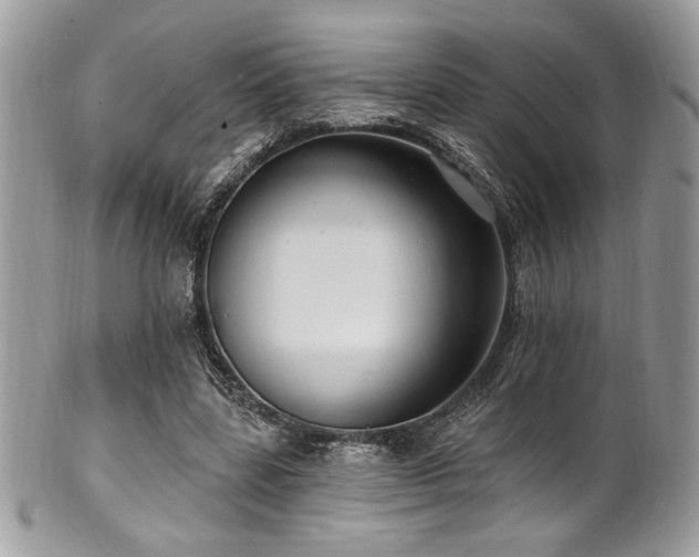 X0000102310539200807251442