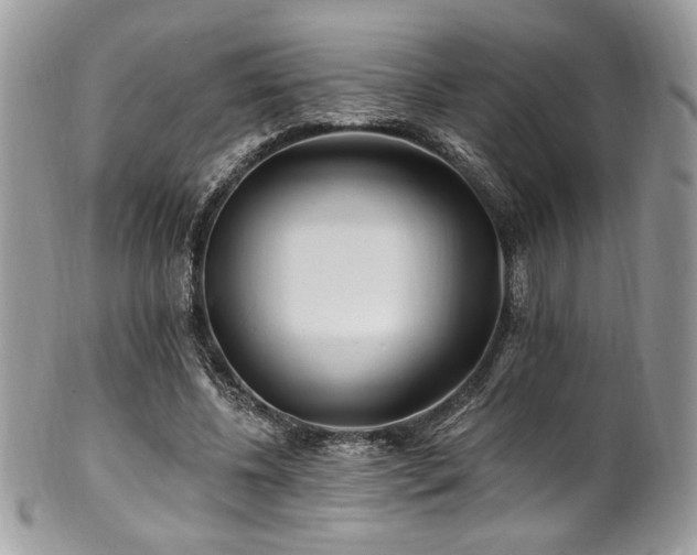 X0000102310540200807251442