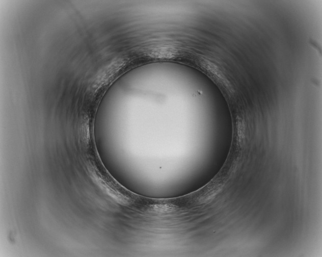 X0000102310541200807251442