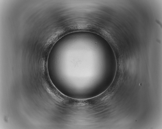 X0000102310542200807251442