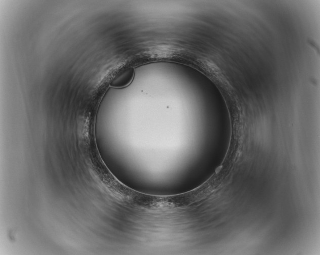 X0000102310543200807251442