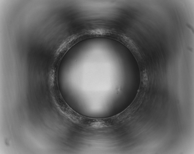 X0000102310544200807251442