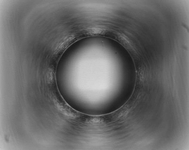 X0000102310546200807251442