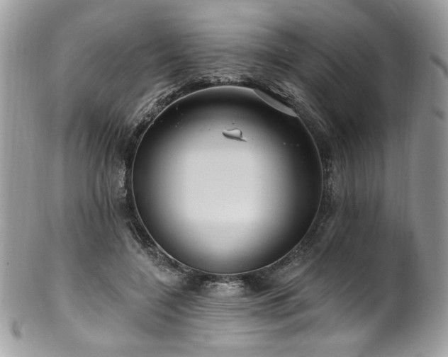 X0000102310548200807251442