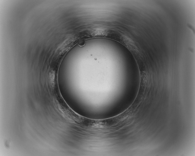 X0000102310550200807251442