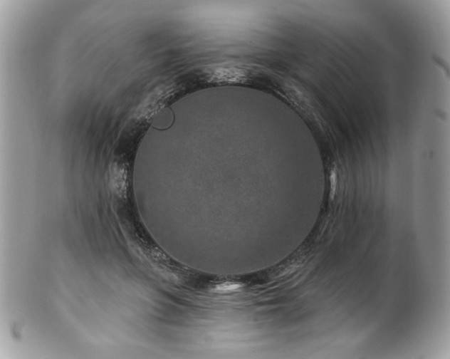 X0000102310551200807251442