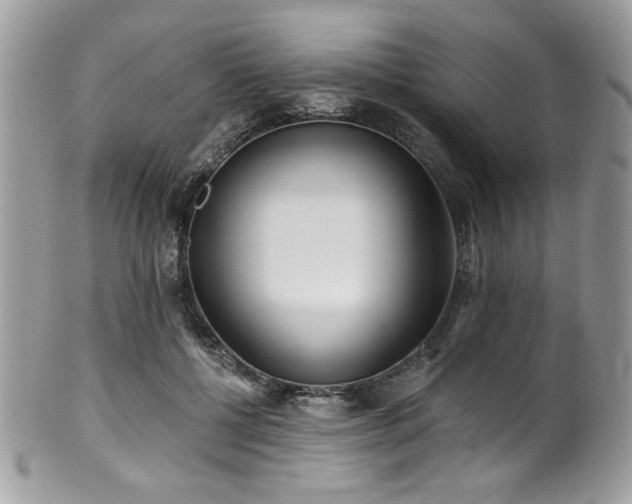 X0000102310552200807251442